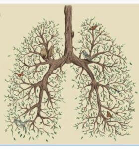 lung_An_HU_Play_by_Duncan
