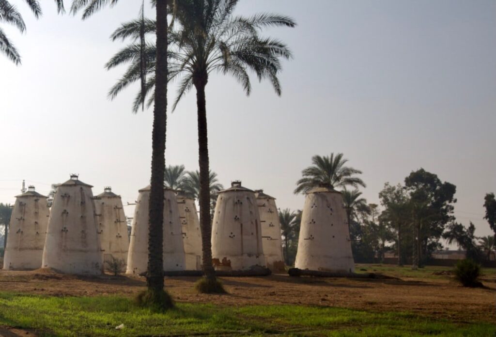13 villages