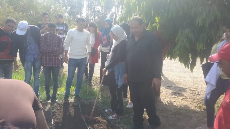 Botanical Garden Activity