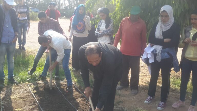 Botanical Garden Activity