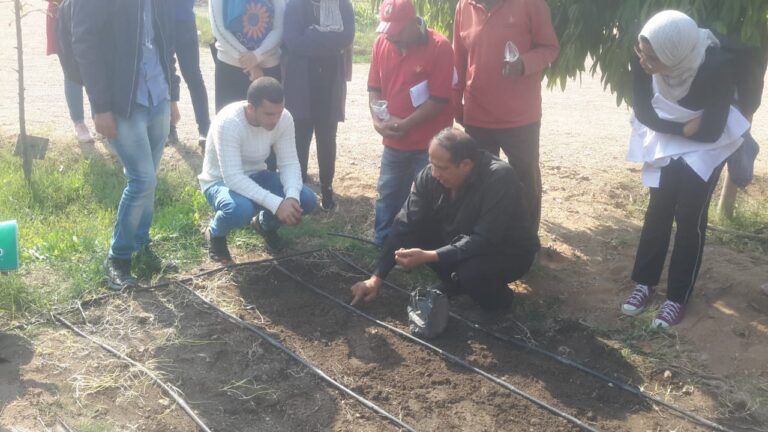 Botanical Garden Activity