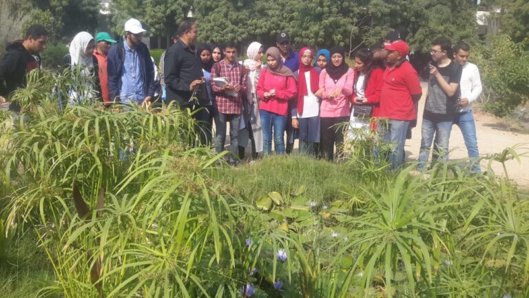 Botanical Garden Activity