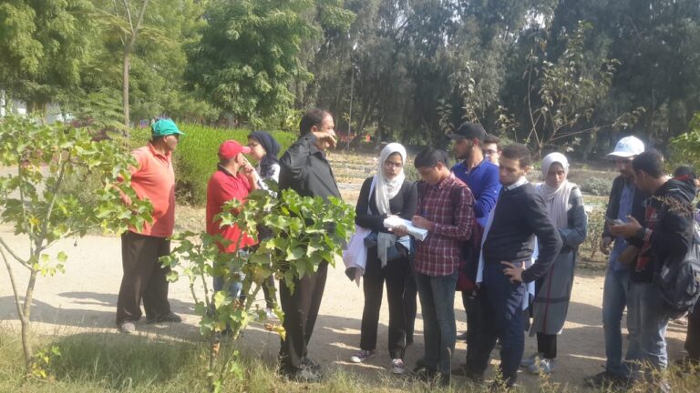 Botanical Garden Activity