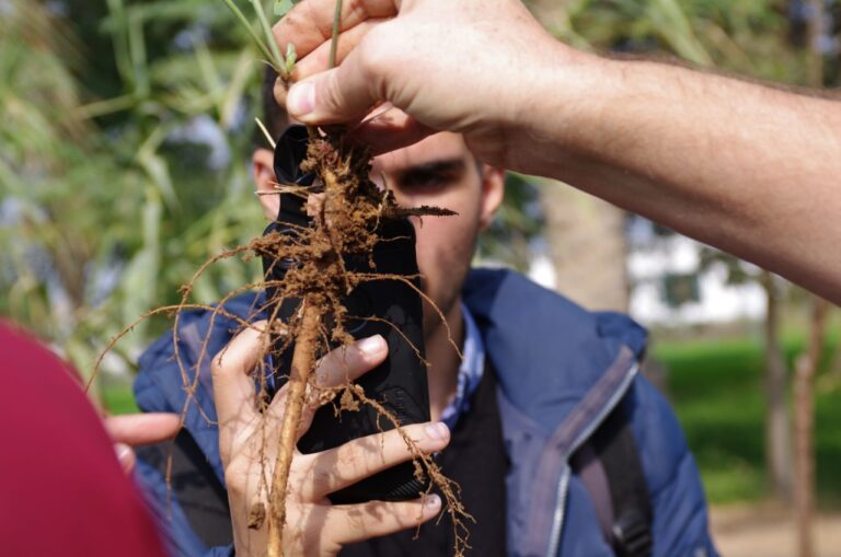 Biodynamic training - 2nd semester