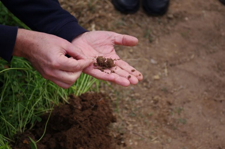 Biodynamic training - 2nd semester