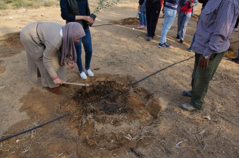 Biodynamic training - 2nd semester