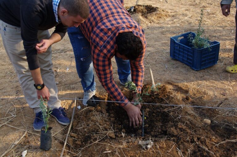 Biodynamic training - 2nd semester