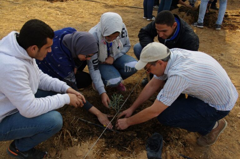 Biodynamic training - 2nd semester