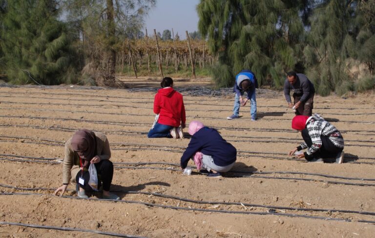 Biodynamic training - 2nd semester