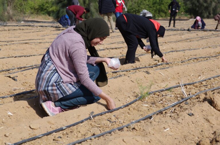 Biodynamic training - 2nd semester