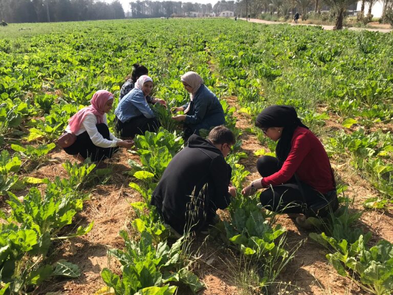 Biodynamic training